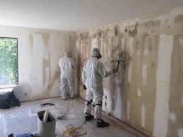 Best Mold Remediation for Rental Properties  in Iyanbito, NM